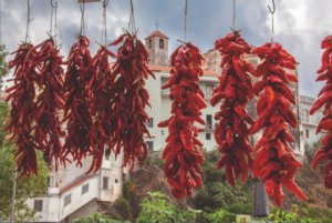 diamante peperoncino festival 2024 cosenza eventi calabria