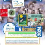 eurobirdwatching-calabria-cosenza-2024