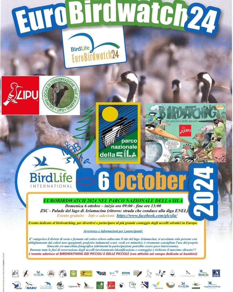 eurobirdwatching-calabria-cosenza-2024