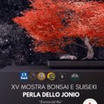 mostra-bonsai-e-suiseki-catanzaro-parco-3-4-5-ottobre-2025
