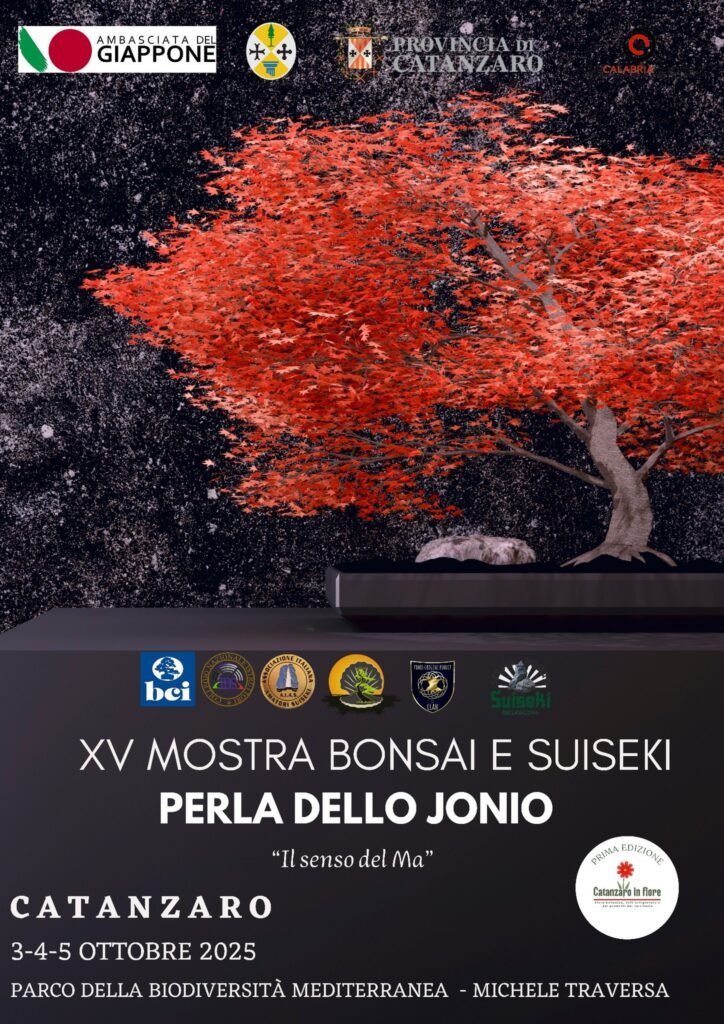 mostra-bonsai-e-suiseki-catanzaro-parco-3-4-5-ottobre-2025