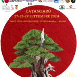 xvi-mostra-nazionale-bonsai-suiseki-2024-catanzaro