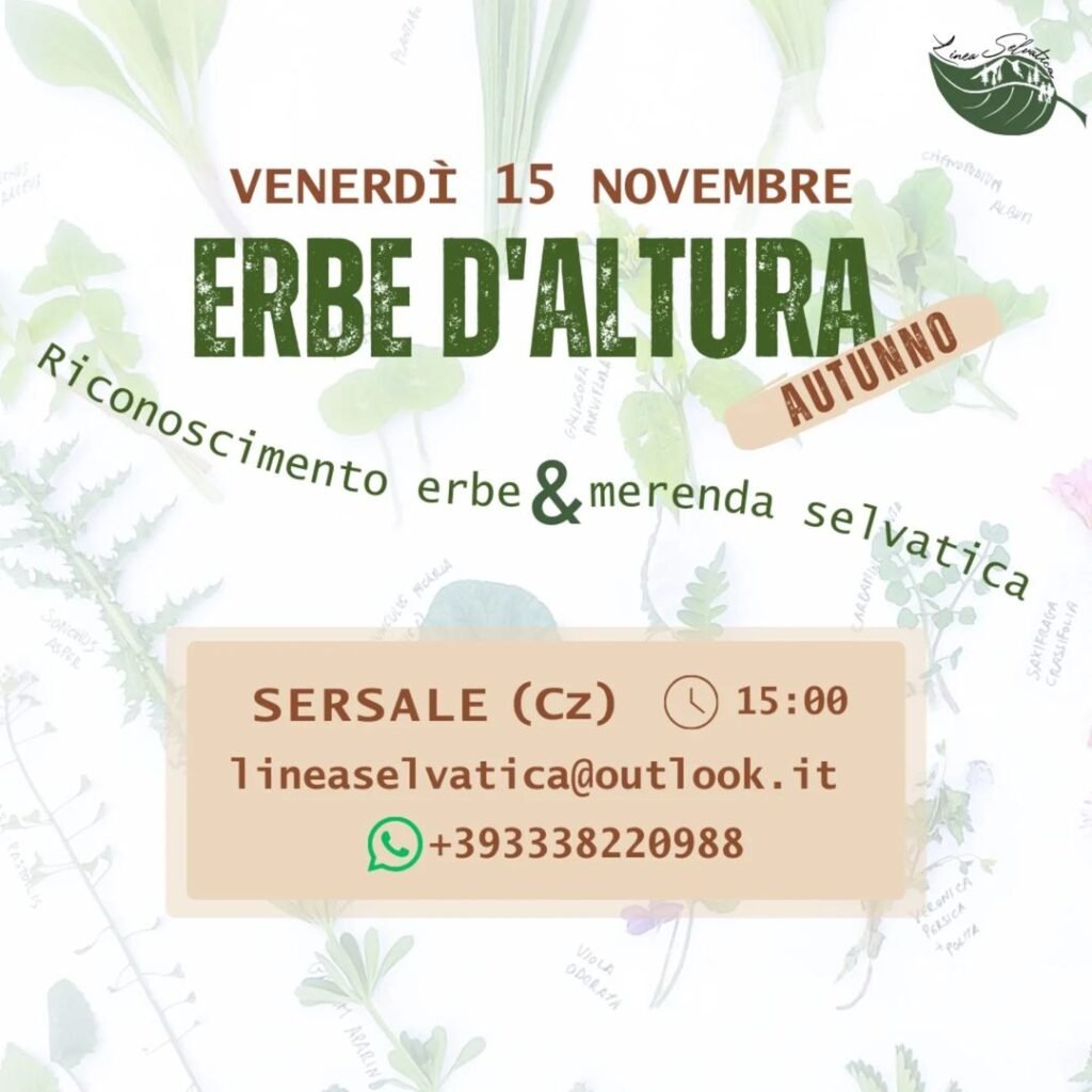 erbe-d-altura-riconoscimento-erbe-15-novembre-2024