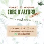 erbe-d-altura-riconoscimento-erbe-15-novembre-2024