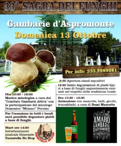 sagra-dei-funghi-gambarie-d-aspromonte-reggio-calabria-13-ottobre-2024