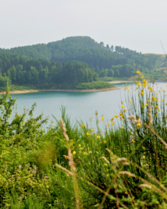 lago passante catanzaro calabria