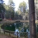 parco nazionale della sila calabria catanzaro cosenza crotone