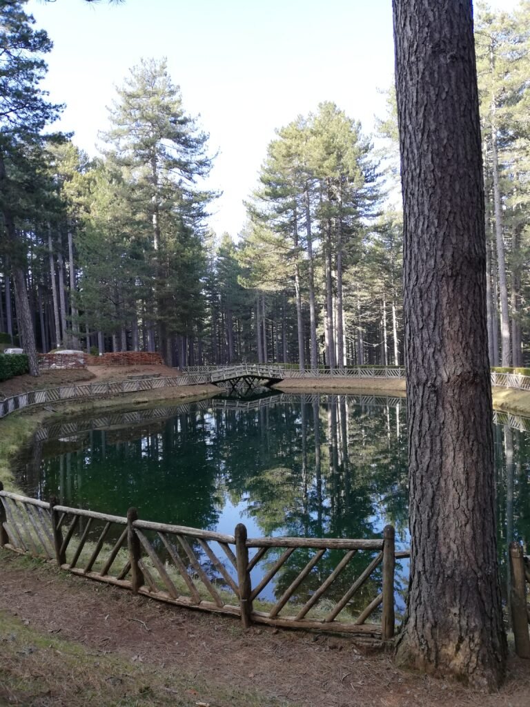 parco nazionale della sila calabria catanzaro cosenza crotone
