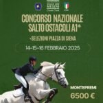 concorso-nazionale-salto-ostacoli-a1-centro-ippico-valle-dei-mulini-catanzaro