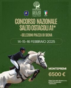 concorso-nazionale-salto-ostacoli-a1-centro-ippico-valle-dei-mulini-catanzaro