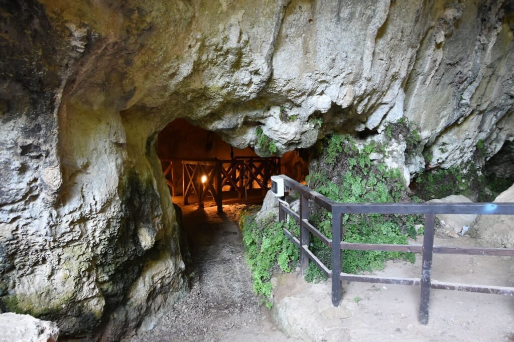 grotta-del-romito-papasidero-cosenza-calabria