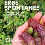 corso-base-riconoscimento-erbe-spontanee-29-marzo-2025-cleto-cosenza