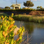 parco-ecolandia-reggio-calabria