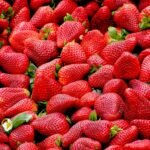 festa-della-fragola-acconia-catanzaro-24-maggio-2025