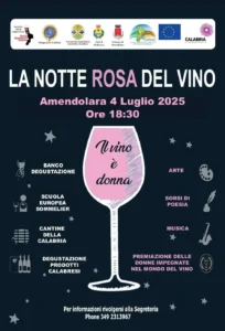 la-notte-rosa-del-vibo-amendolara-calabria-4-luglio-2025