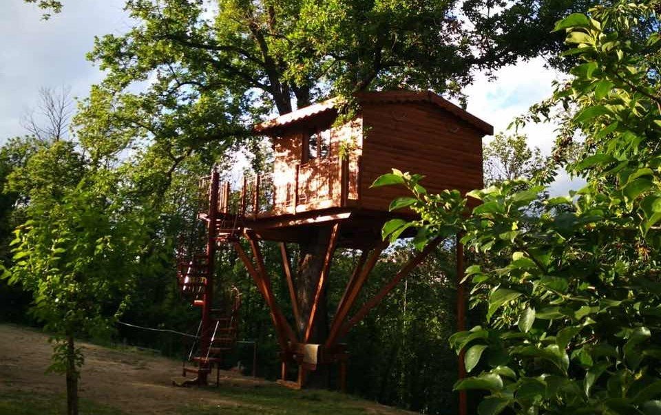 casa-sull-albero-tenuta-bocchineri-rogliano-cosenza-calabria-1