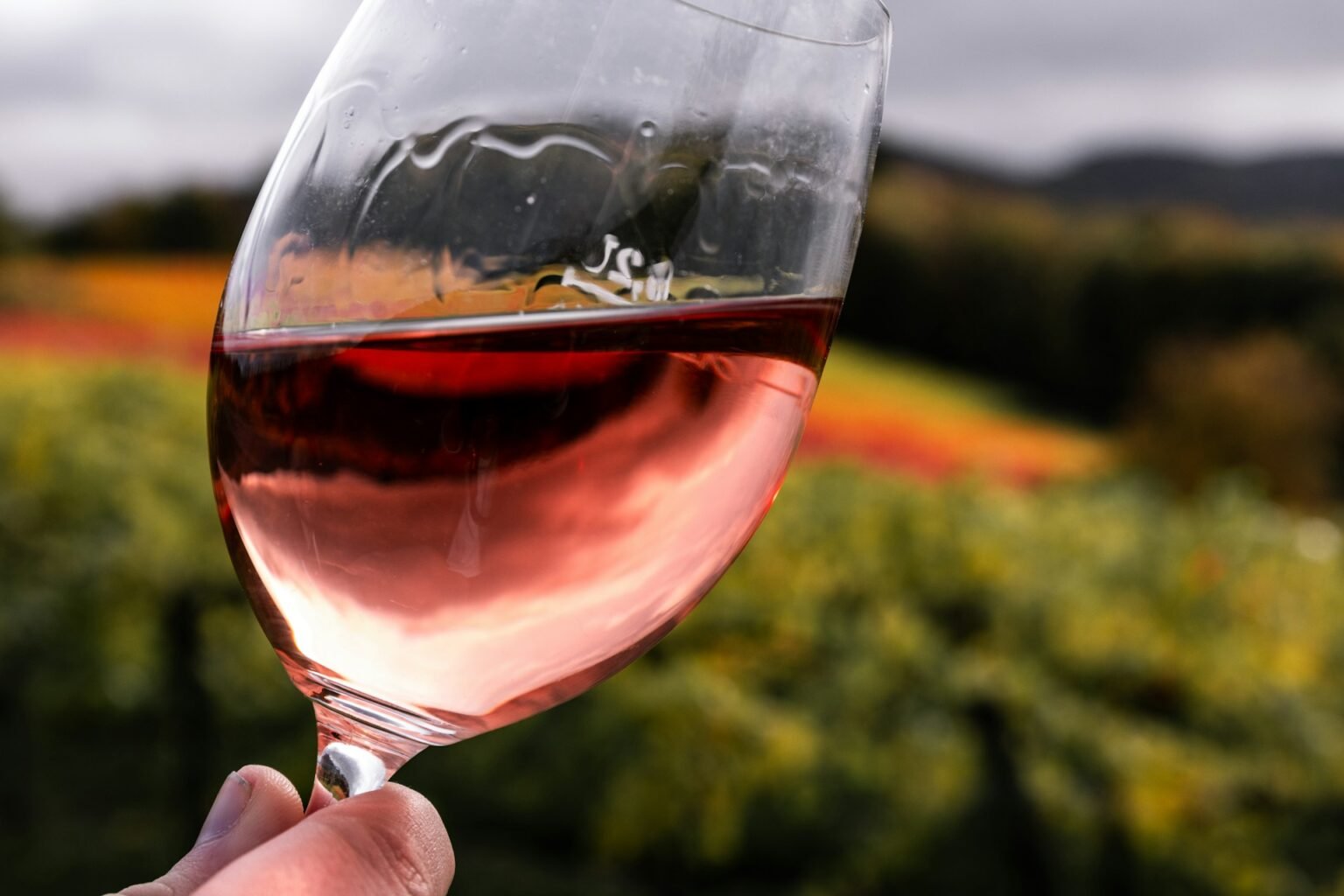 degustazioni-calabria
