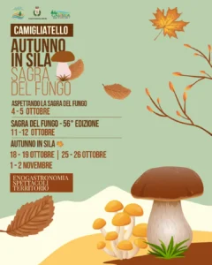 sagra-del-fungo-camigliatello-silano-ottobre-2025