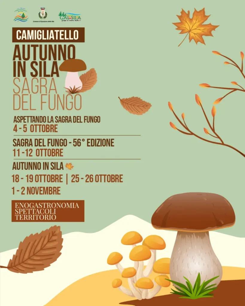 sagra-del-fungo-camigliatello-silano-ottobre-2025