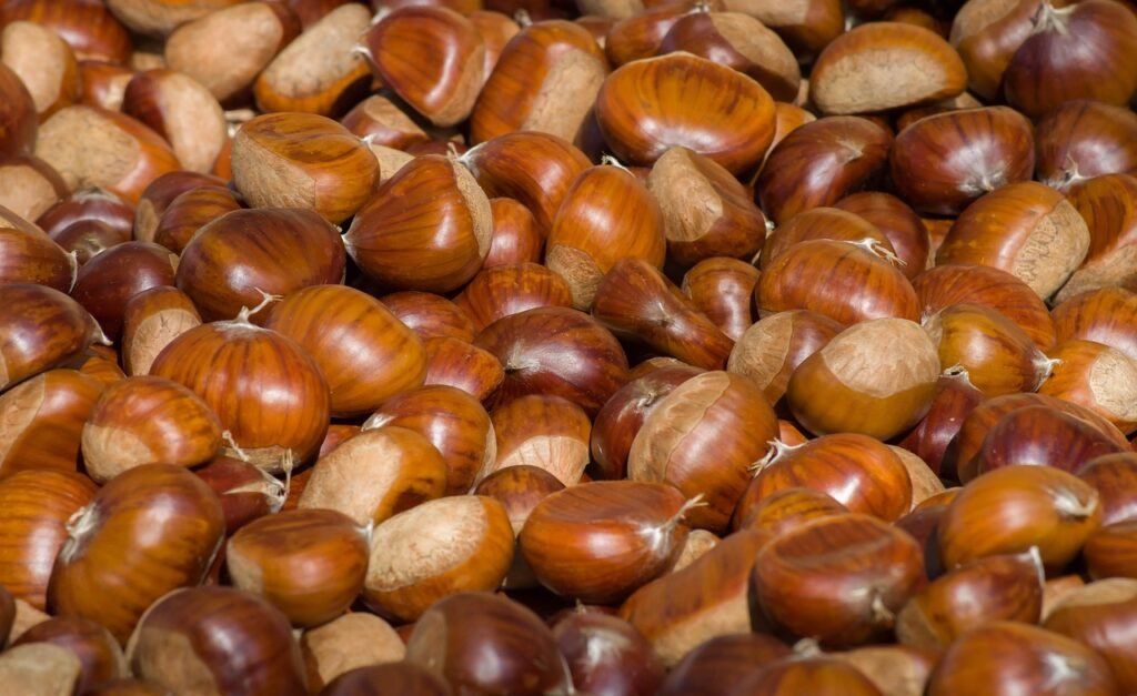 sagre-calabria-autunno-2025