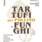 tartufi-funghi-pollino-morano-calabro-novembre-2025